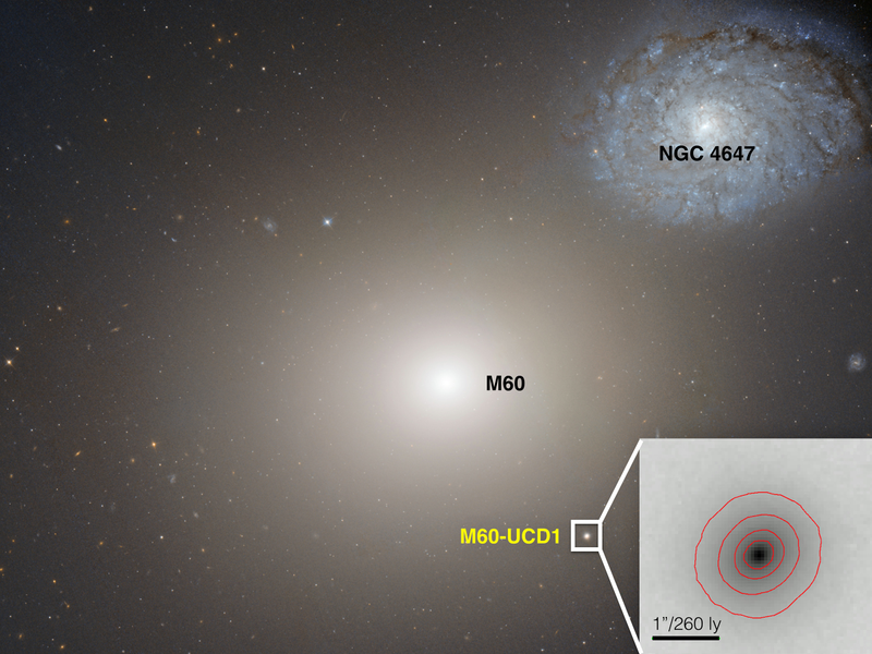Illustration for article titled Astronomers Discover A Supermassive Black Hole Inside A Tiny Galaxy